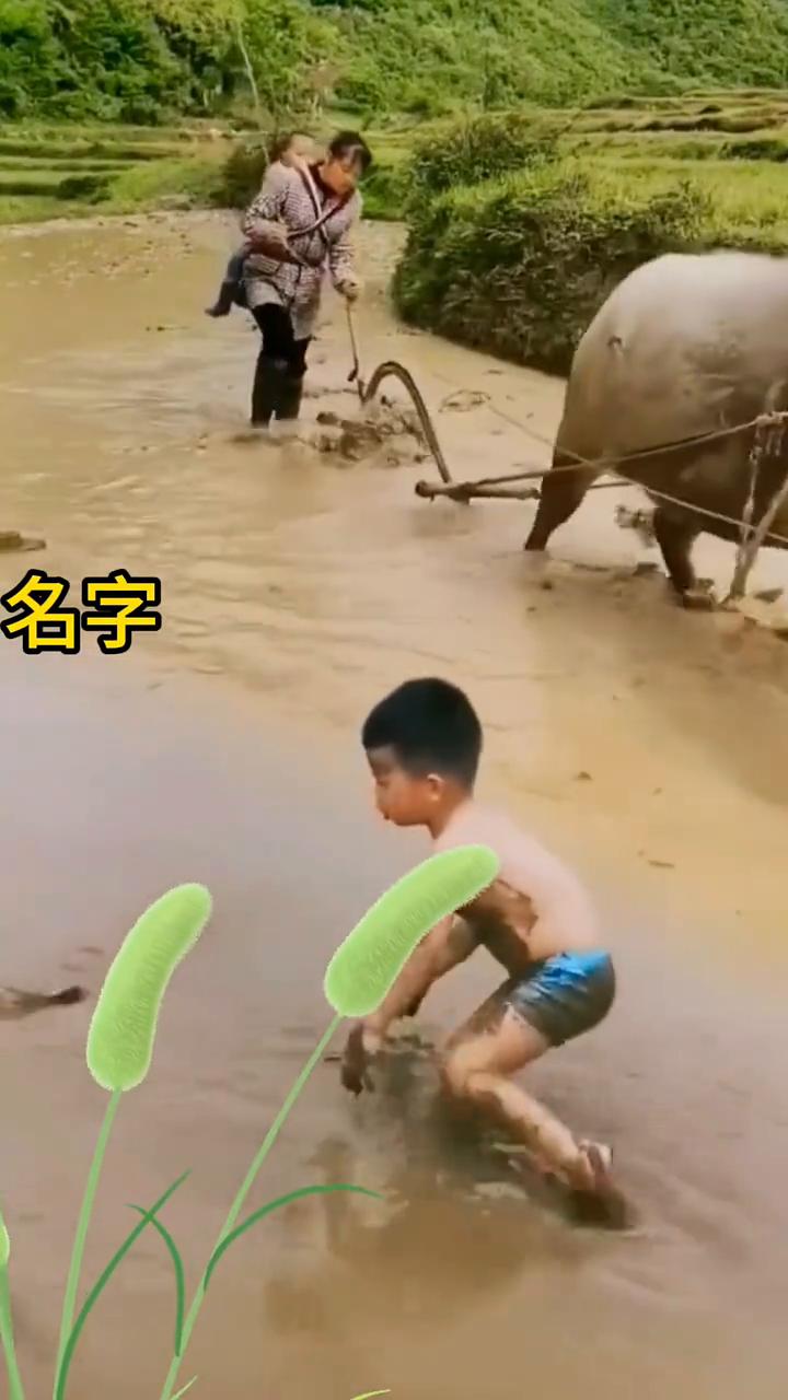 名字。