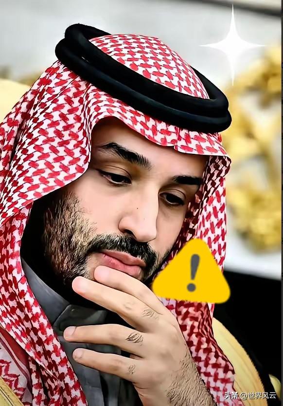 沙特这回是真把桌子给掀了。25艘超大油轮，满载5000万桶原油，完全不理会霍尔木