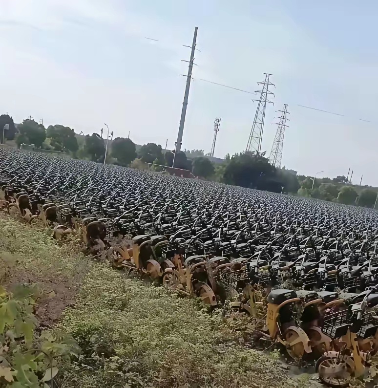 有个一直困扰人的问题：为什么这些小黄车当时宁愿扔掉也不低价处理呢？ 