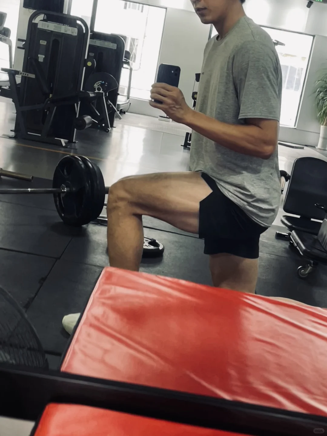 生命不停运动不止 细狗健身日记