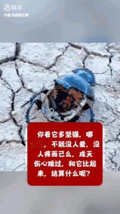 当你伤心、难过、绝望的时候，看看它吧……[泣不成声]