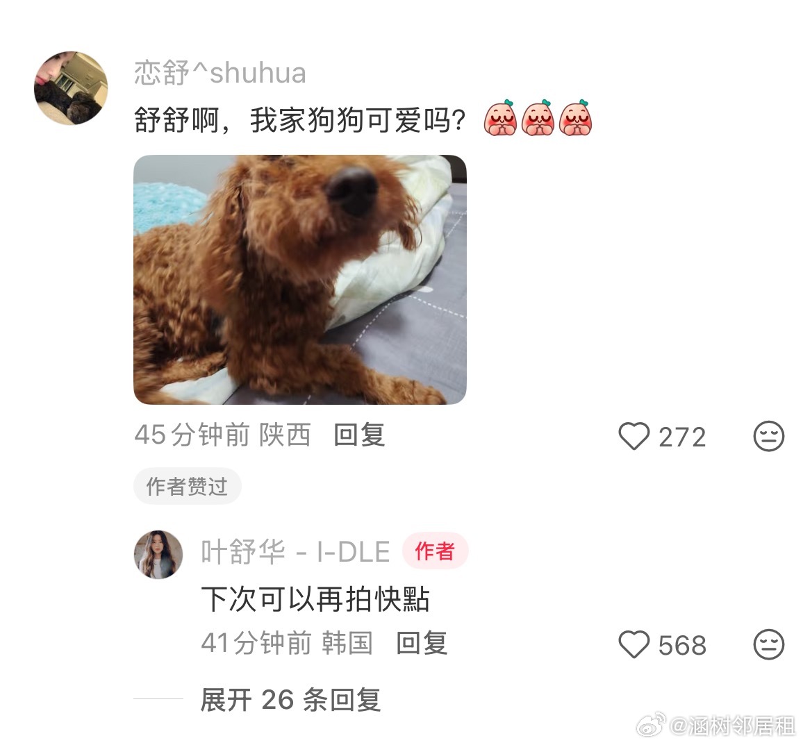 不把爱狗当人设而是真正爱狗的我们舒华云吸狗中我也想当狗【】 
