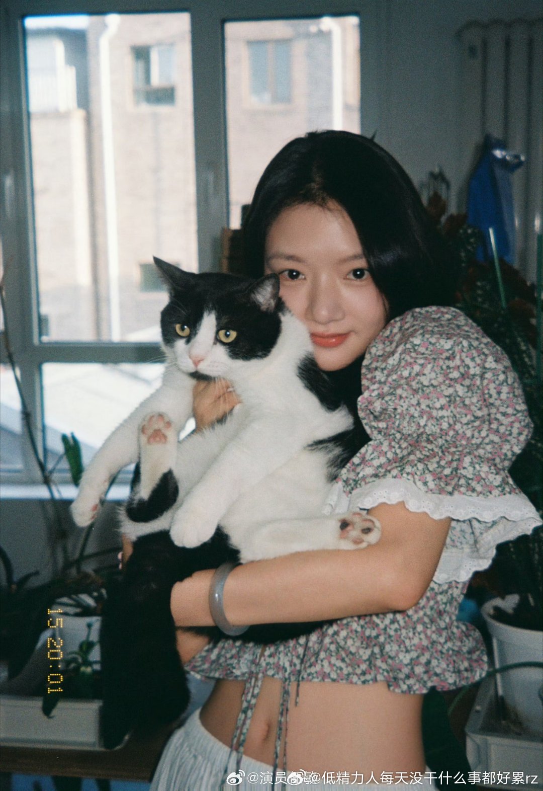 鼻子太bug需要大美颜.但是声娇、人妹感论cp感可能都比仪强点儿 