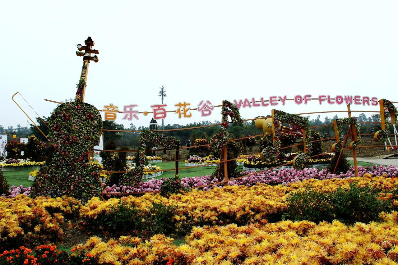 【百花音乐谷拍菊花】20241122

今日小雪，上午多云天阴，感觉午后会有阳光