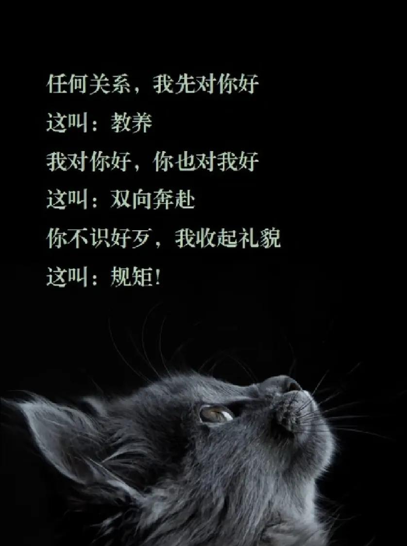任何关系：我先对你好

这叫：教养

我对你好，你也对我好

这叫：双向奔赴

