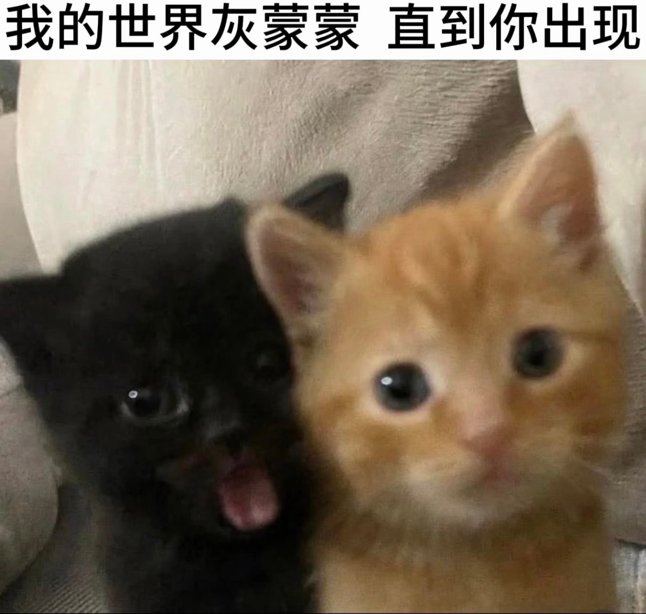 七夕请5个宝喝奶茶🧧还是评论就行！明早开！  抽奖详情