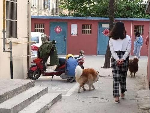 云南，一男子遛狗至女村民家时，就走进去闲聊，看到对方一个人在家，随即与之发生了关