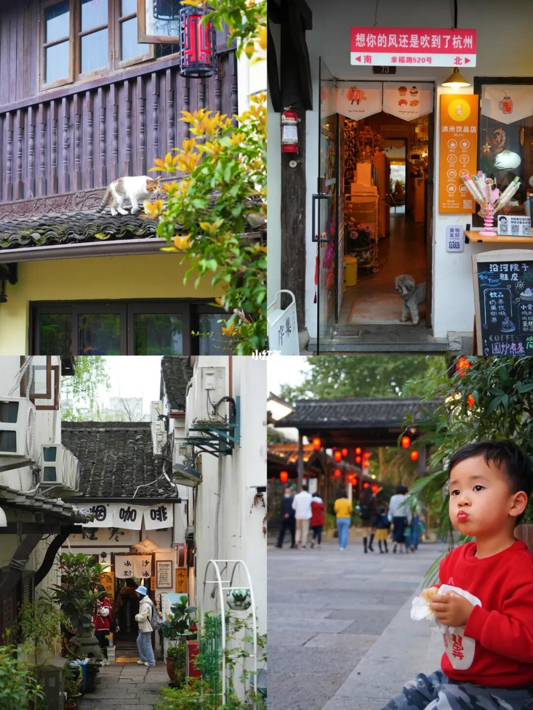 来杭州别只去西湖，我推荐你来小河直街