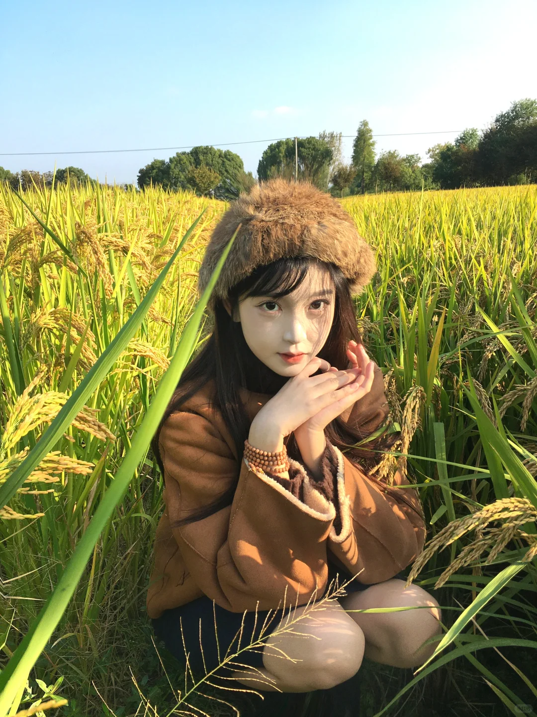 稻田里寻找深秋