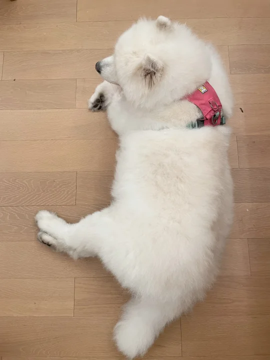 暑期减肥成果展示