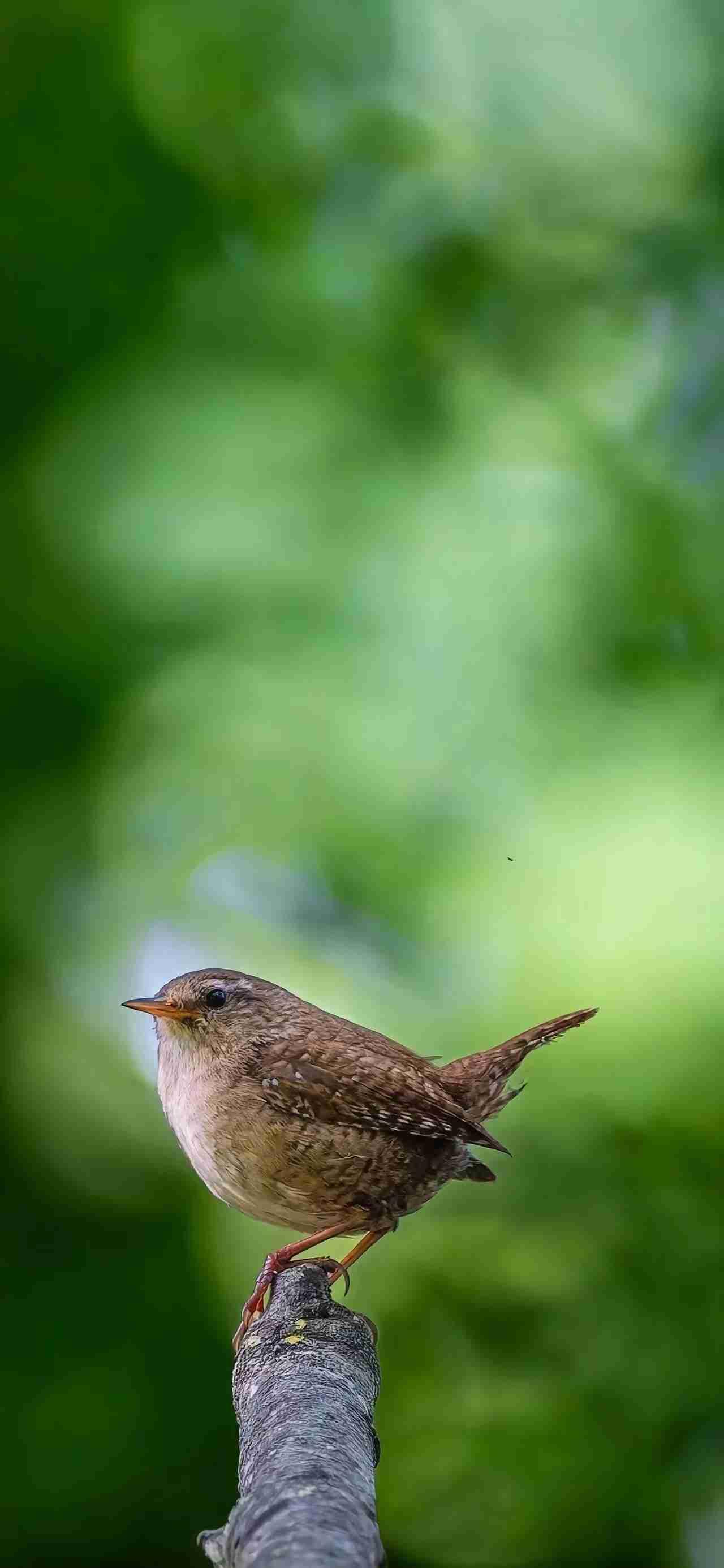 我的今日状态：😁轻松愉快
我这里的天气：☀️晴天