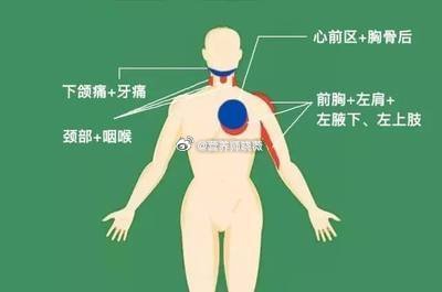 #大雪天气寒冷的养生建议##健闻登顶计划# [掌宝可怜]冬季由于天气寒冷血管收缩