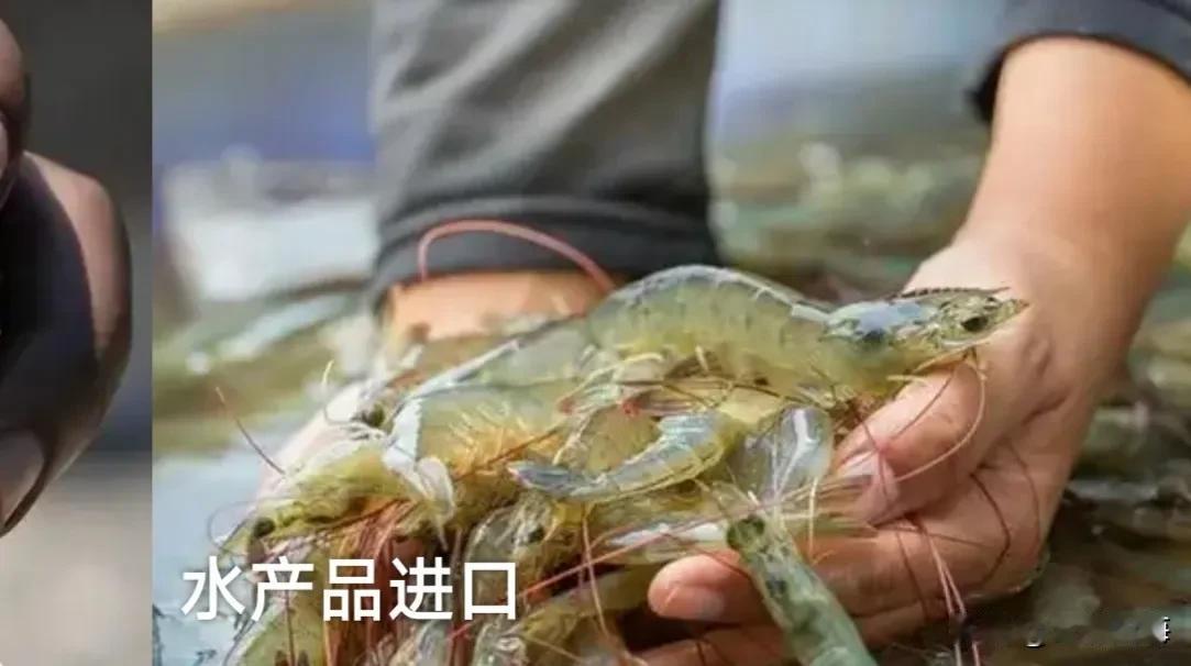 日本真正害怕的不是中国的航母导弹，而是另外两件对中国来说“天经地义”的事——经济