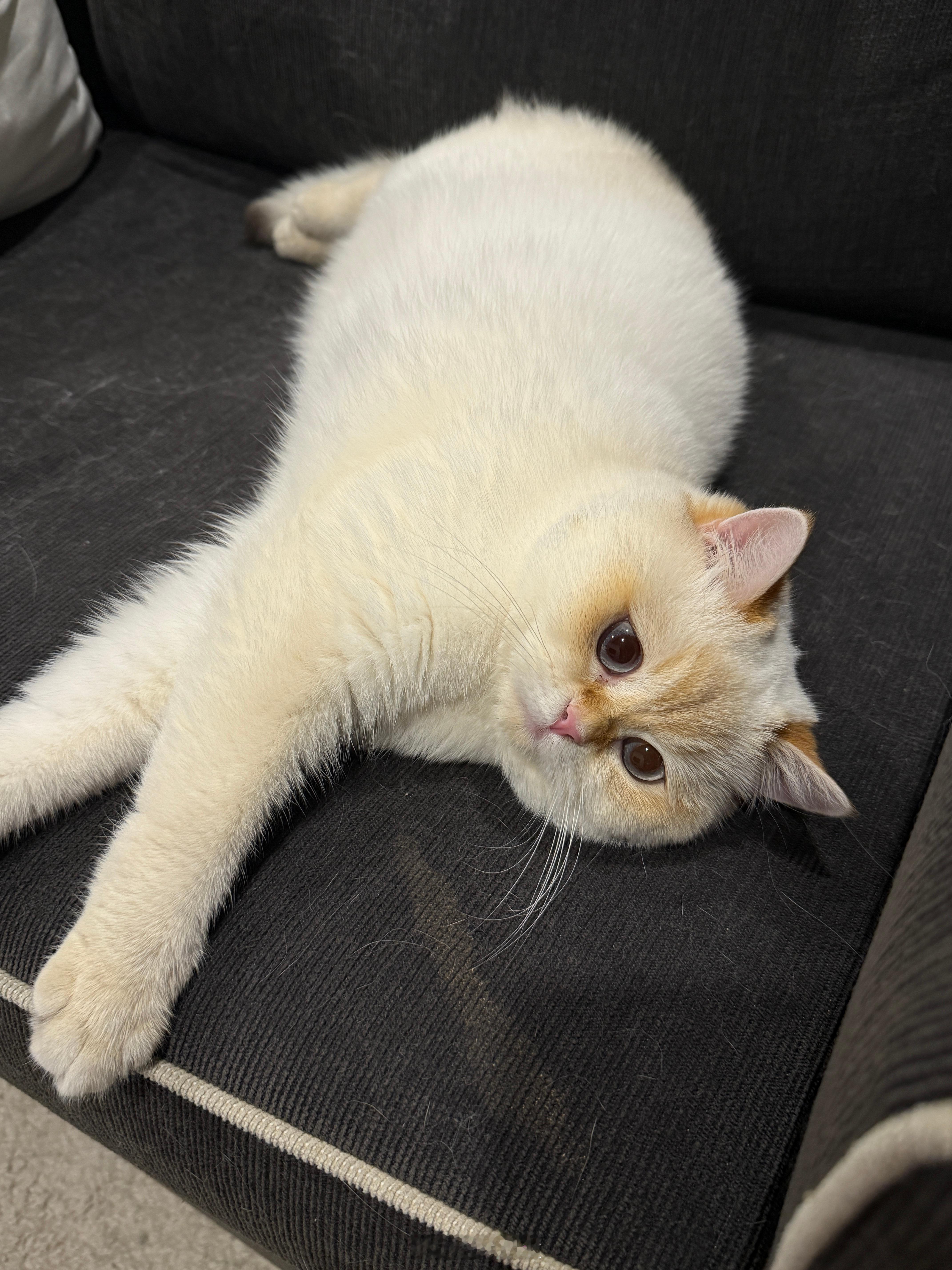 Always eat a lot :3I’ve got a pink defin