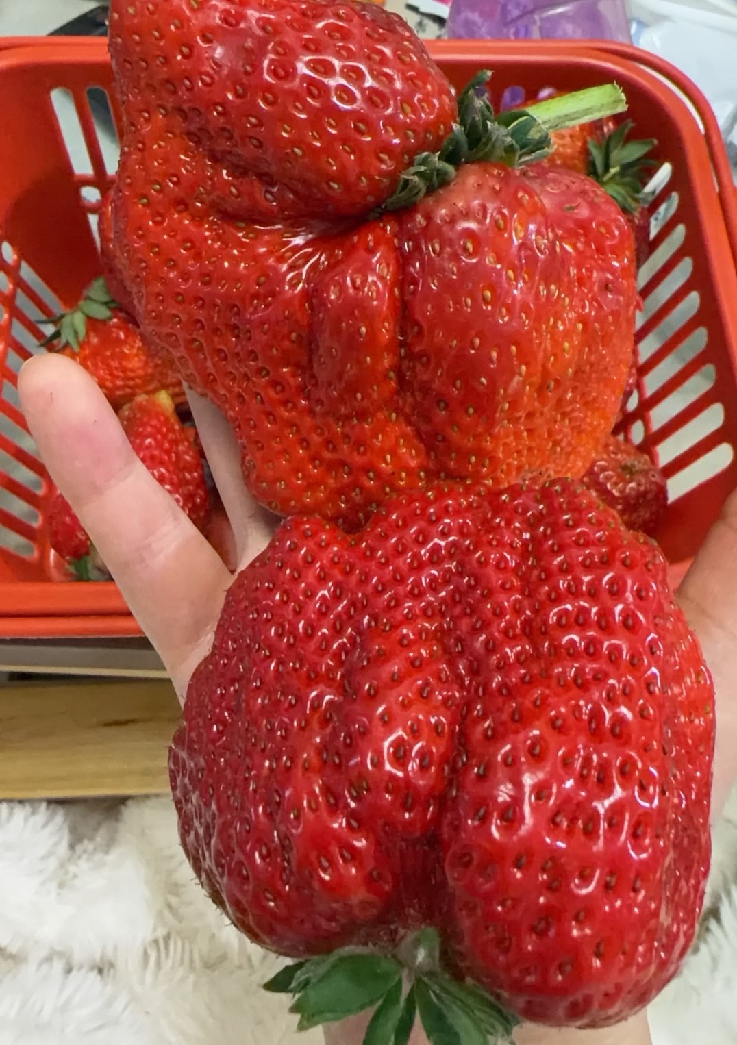 巴掌大草莓🍓 