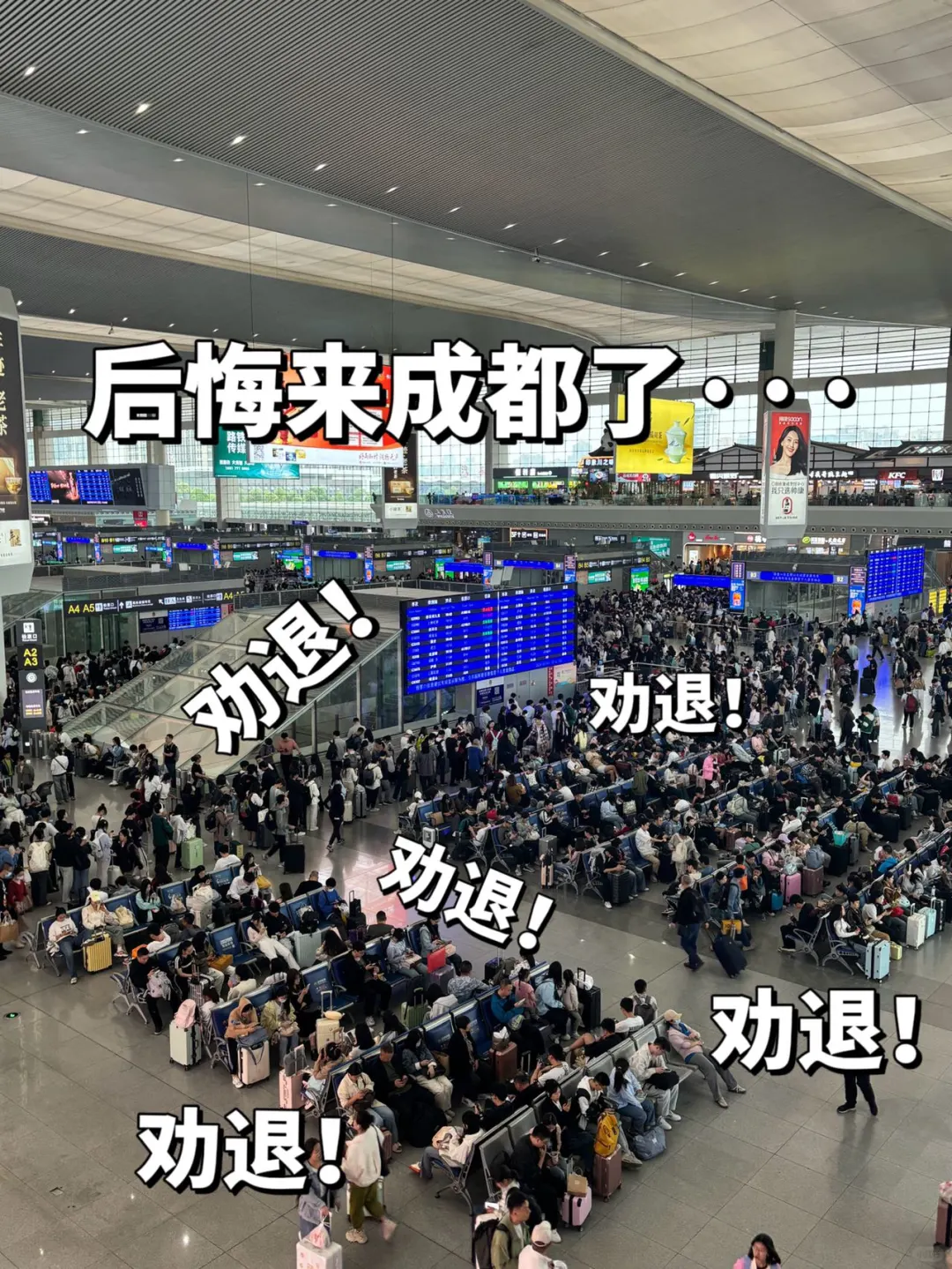 刚从成都旅游回来！😭😭只想说一些大实话…