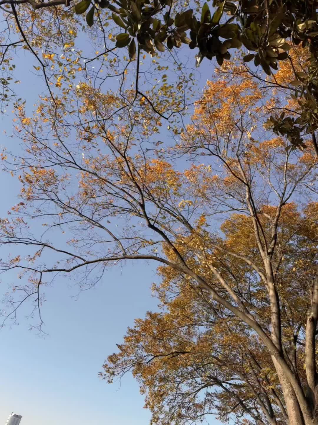 幸福的时光缓慢的穿过我