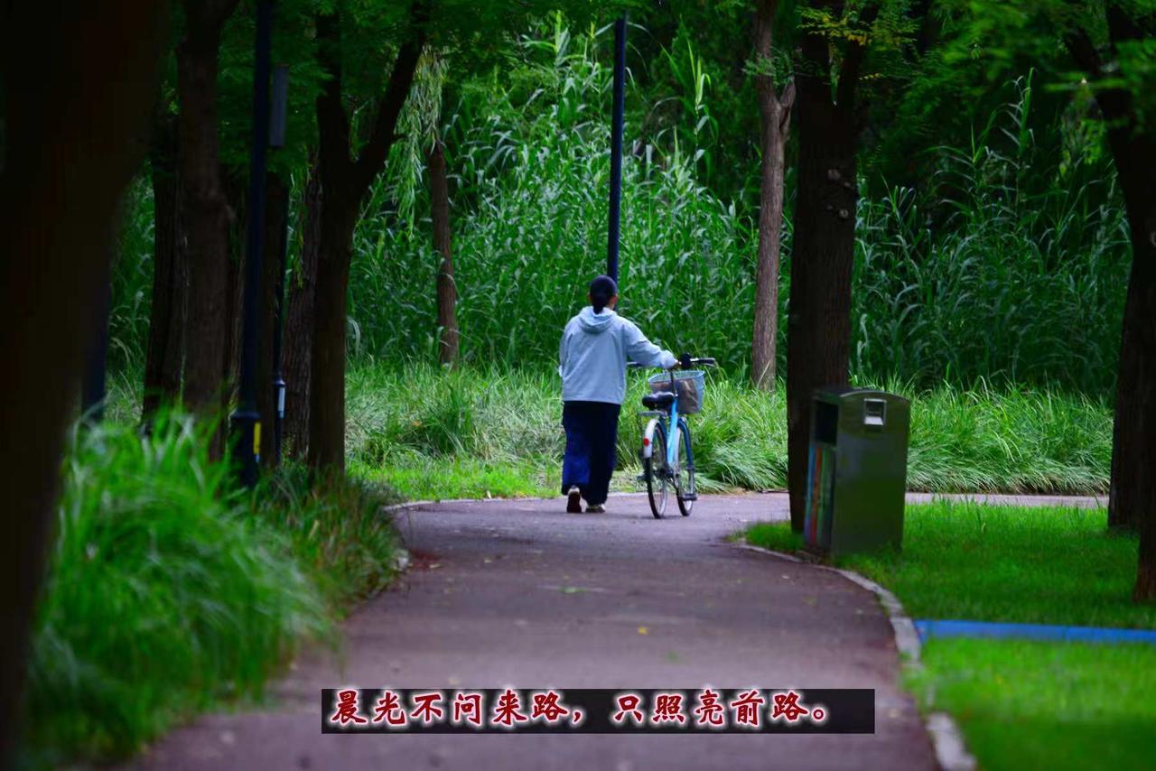 秋日随手拍晨光不问来路，只照亮前路。你好！秋天~