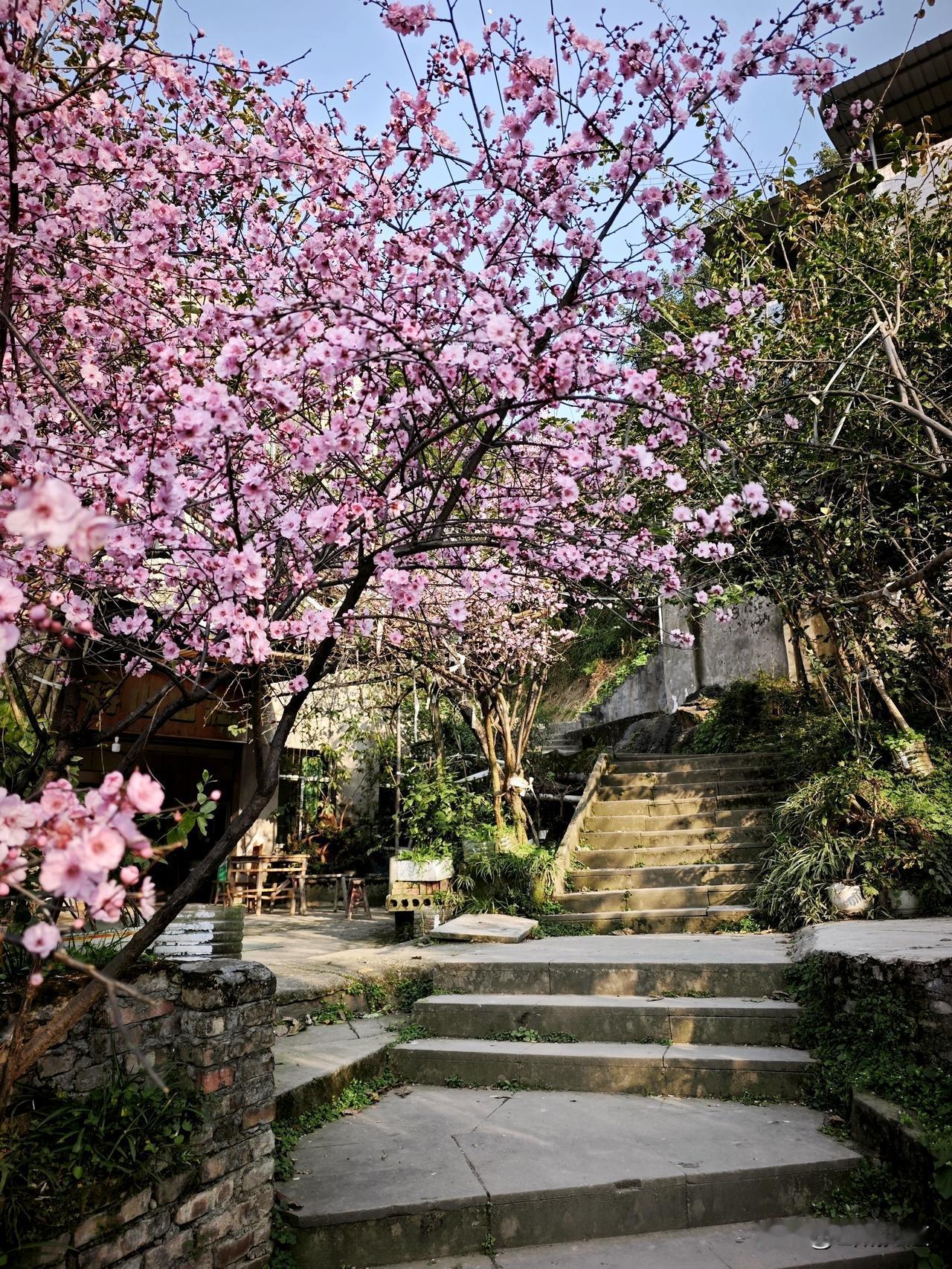 周末爬山，重庆南山。
轨道涂山站起，指月峰步道进山，先登无双崖（小道很陡），再上