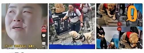 爬泰山后续，王女士已失业，不得已从北京回了老家吉林！
​王女士说她很委屈，她和狗