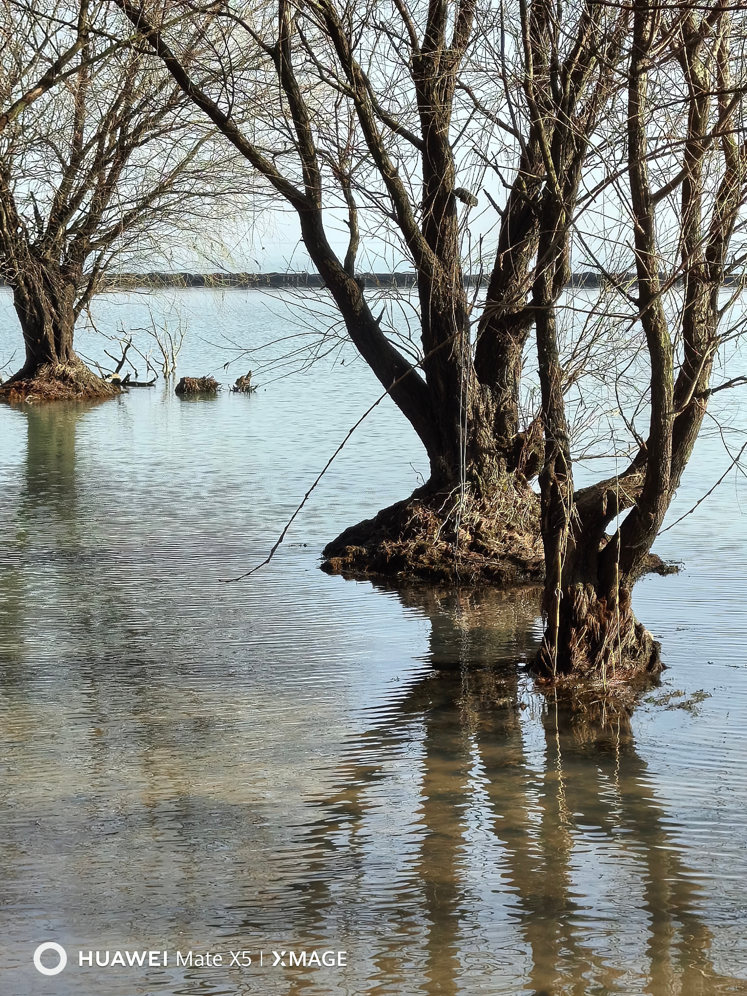 带姑娘研究了项羽的出生地，项羽的起兵处，项羽被围的地方，项羽突围南逃的路线，不肯