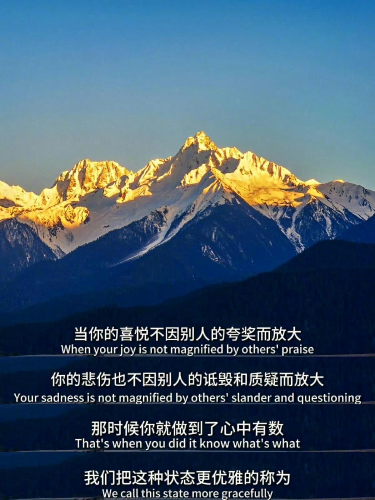 每天早起打卡老板们早安，打卡养铁咯