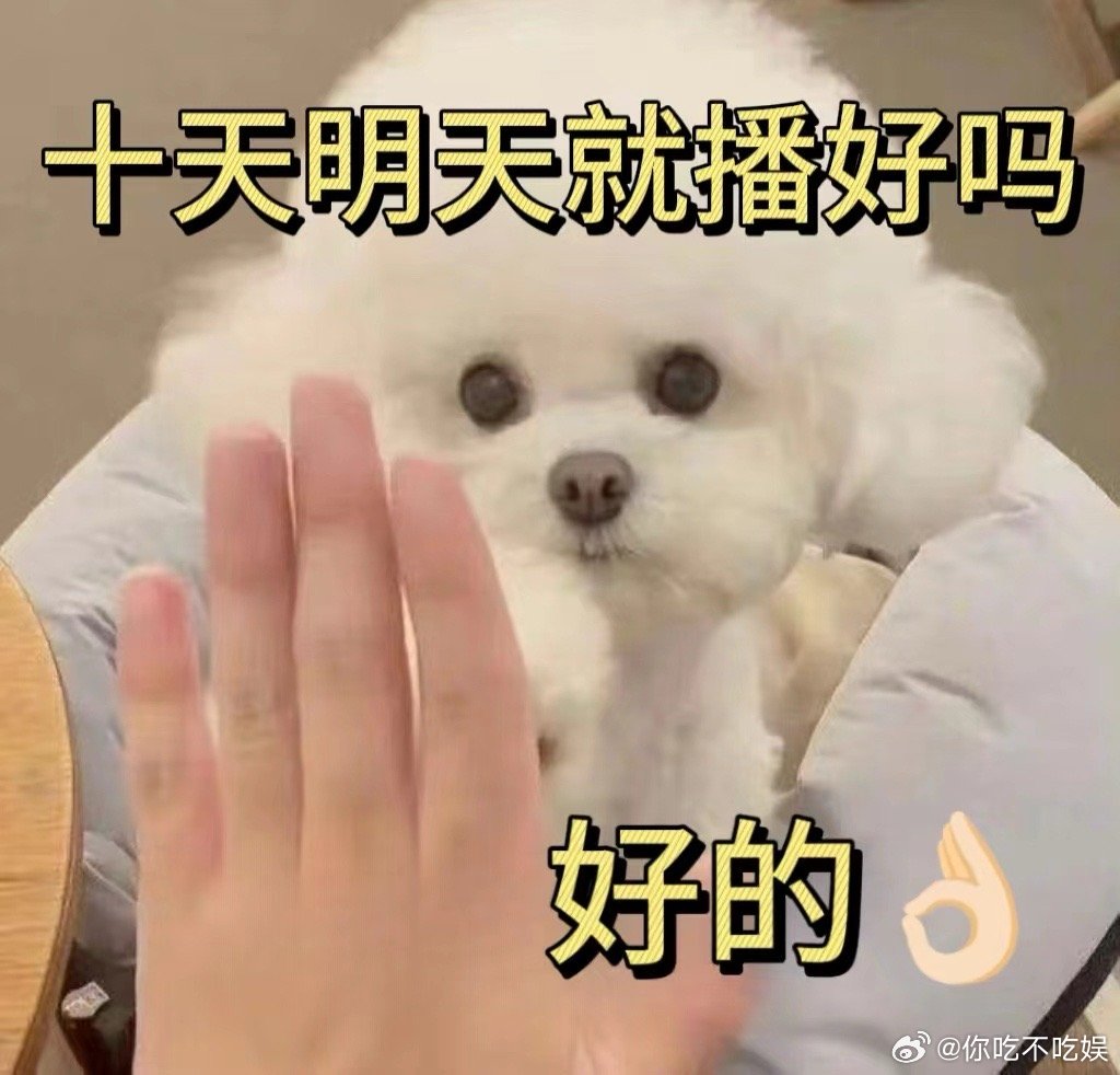 #十天之后回到现实全阵容官宣#没想到有嘉宾竟然都哭碎了，不敢想象这10天会有多么