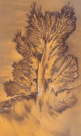 解释不清了！浙江一男子用无人机拍钱塘江退潮，没想到，无人机刚一起飞，就拍到了罕见