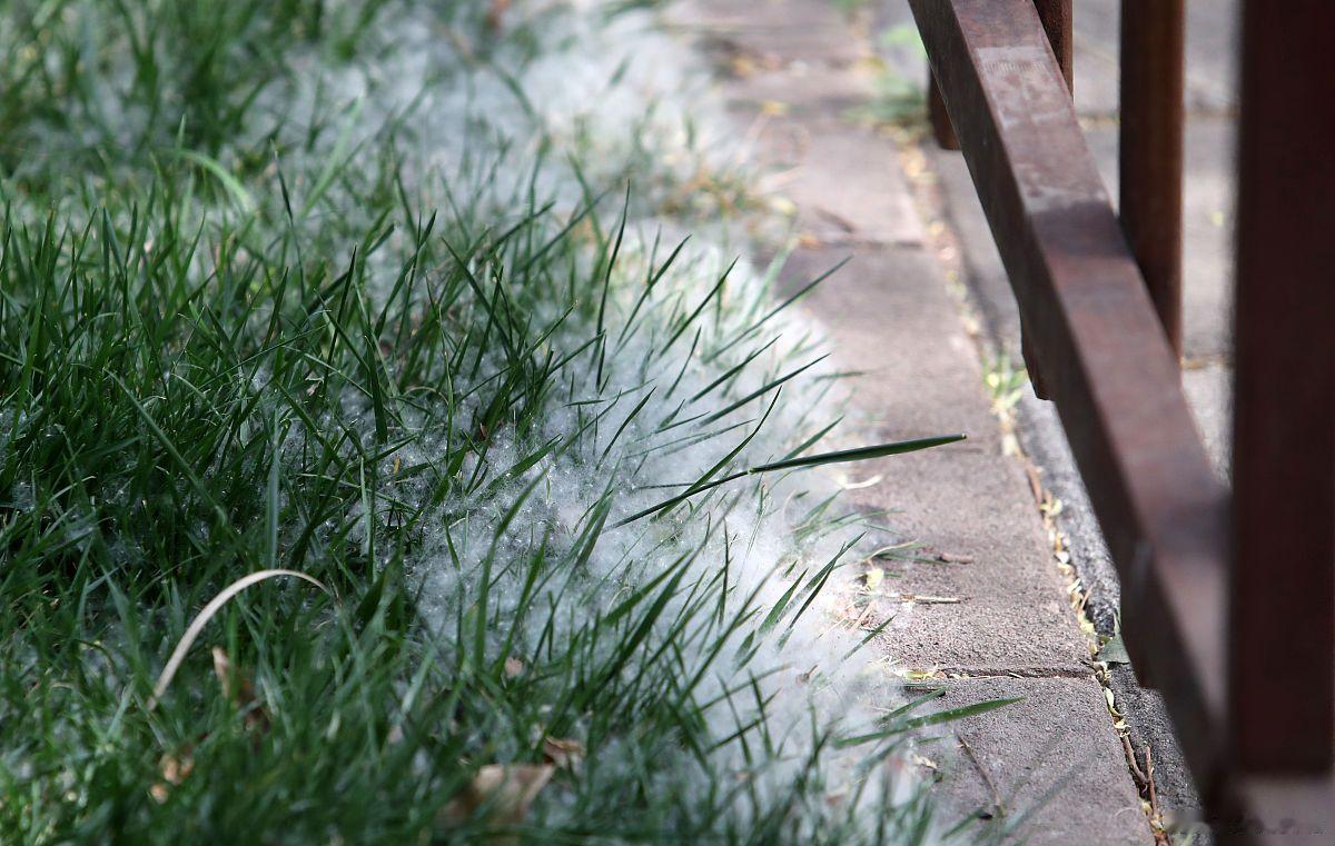 闲人思考两个问题：
人工智能发展将在20年后，取代现有工作岗位的70%，需要做哪