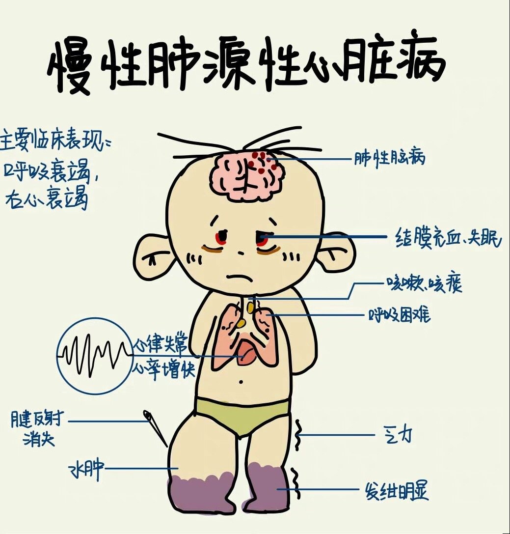 医学生笔记 大耳朵图图版 ​​​