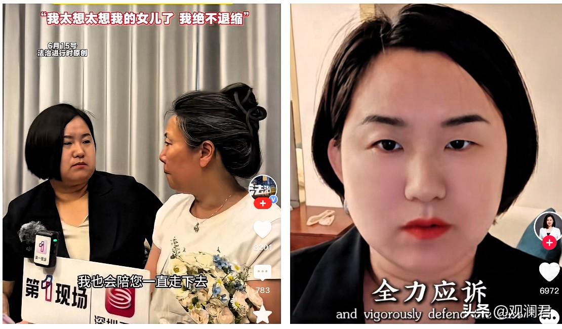 成都紫雅案二审即将开庭，一个熟悉的面孔出现在紫雅妈妈身边，她就是案件代理律师闻红