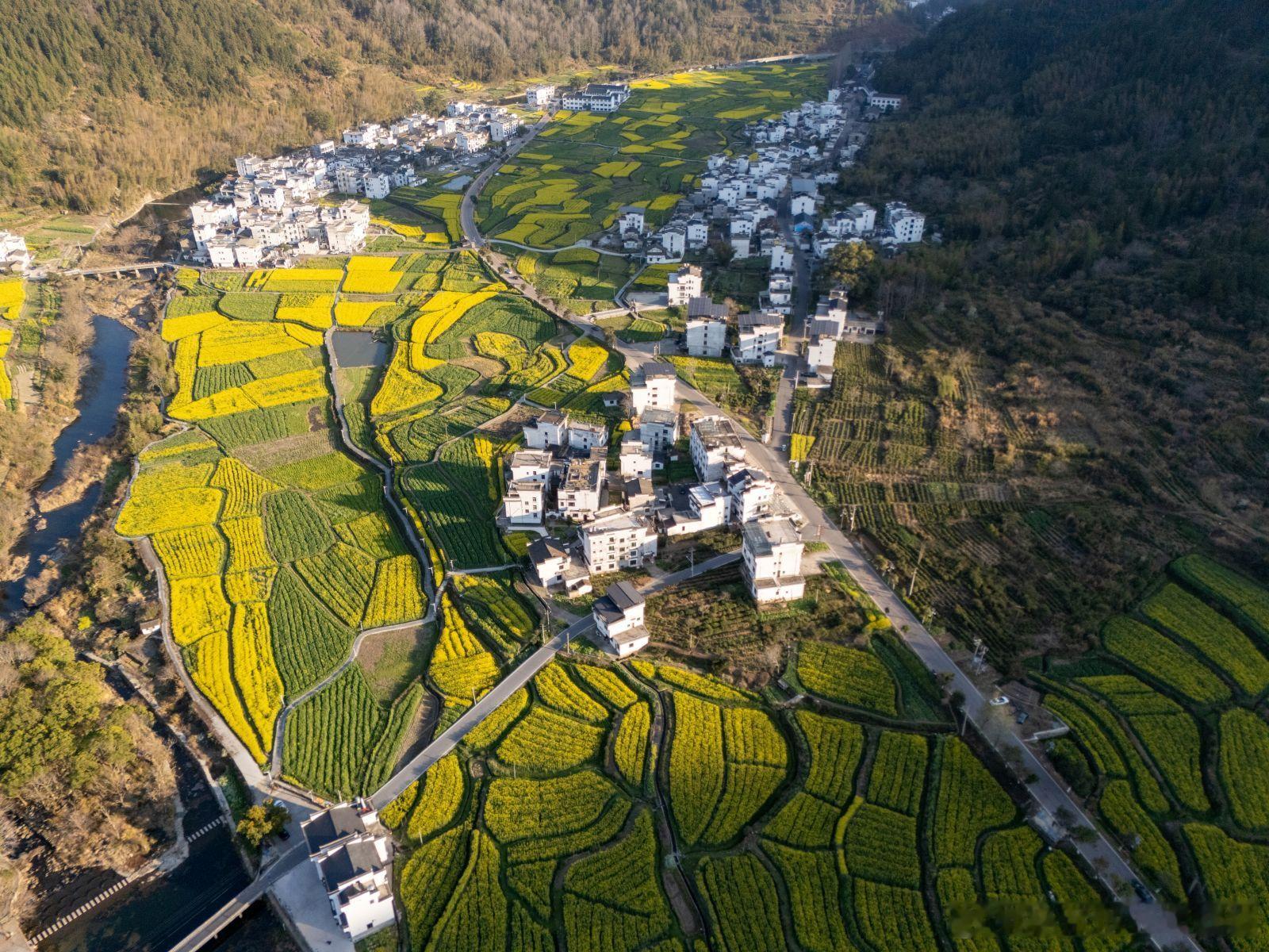 【对赌核心】一份“对赌协议”如何不变成“对赌风险”？核心观点：对赌是平衡的艺术。