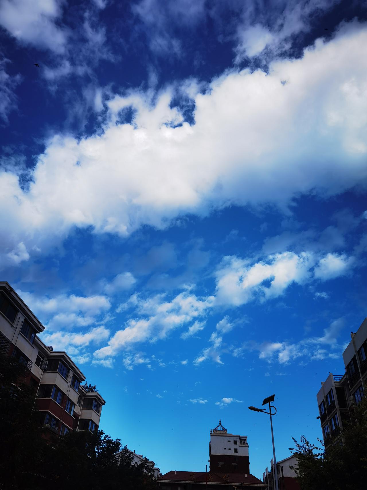 今日看蓝天
白云太给力
南北连成线
就像一座桥