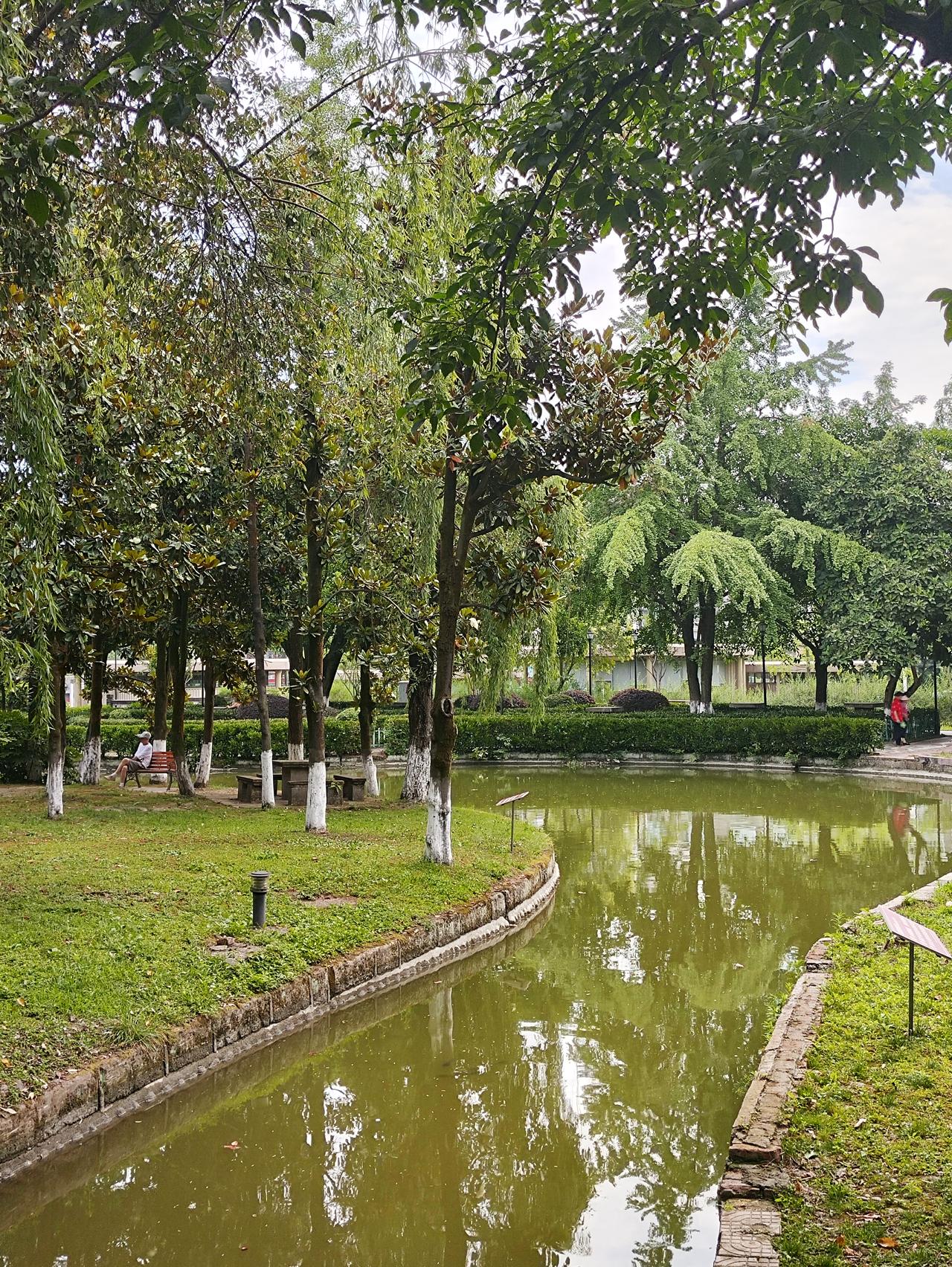 夏日的公园，实在是惬意至极！

在那树影婆娑的湖边，空气中弥漫着青草与树叶的芬芳
