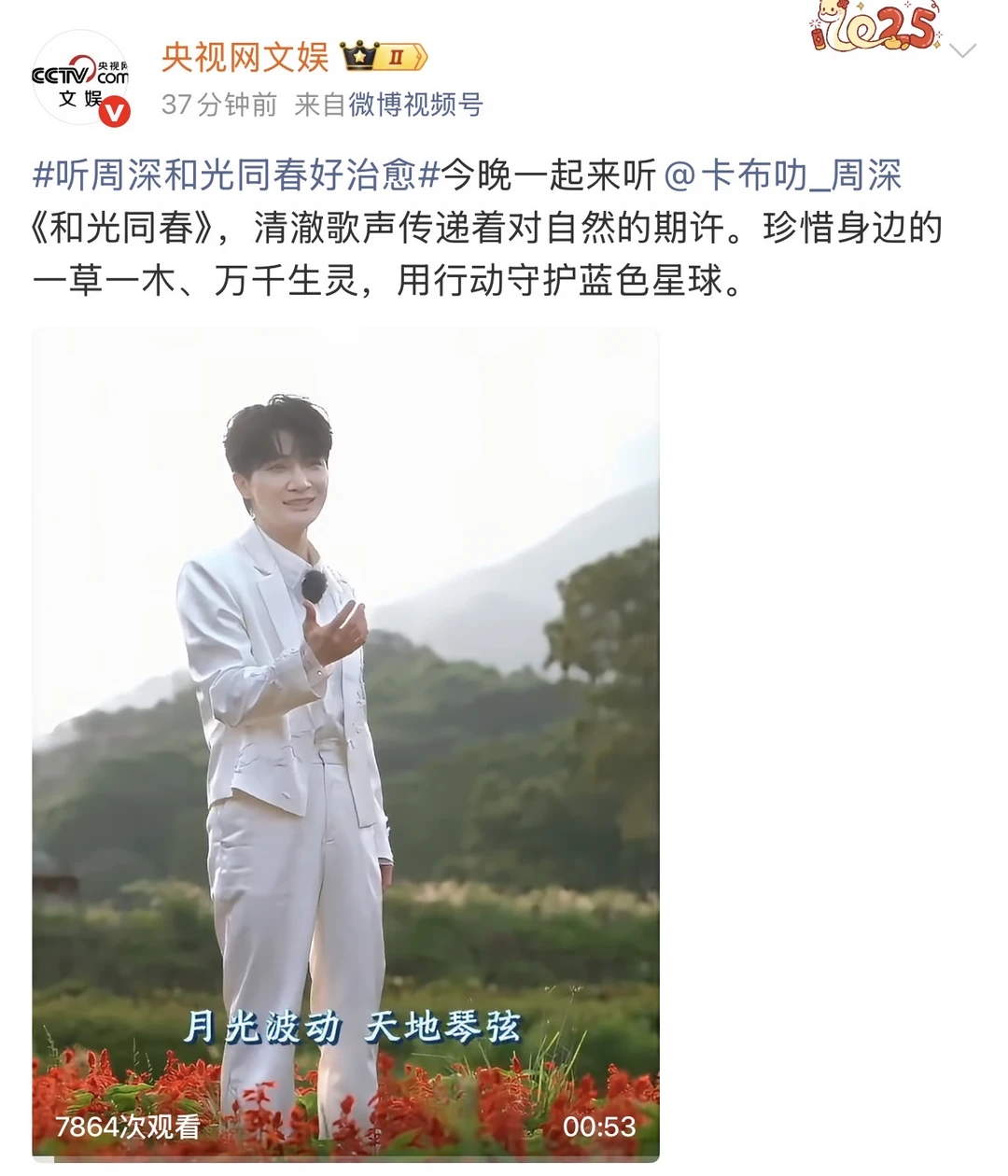 这站位，央妈又在给周深打call啦！