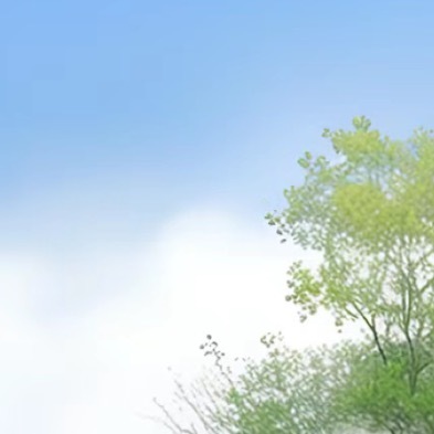 阳光信用  ⭐ 每日一善  不管有多苦，千万要记住：苦难是我们人生路上不可缺少的