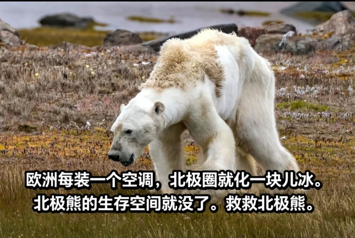巴黎麦当劳50度急订100台中国空调欧洲每多安装一个空调，北极圈就会少一块冰啊！