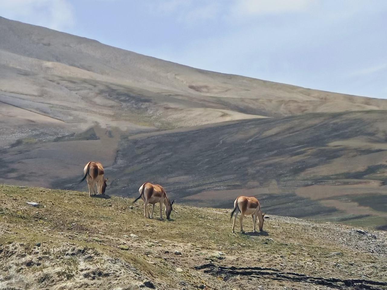 现在这个社会怎么了？
第一，人没有人味，有的都只是一身的铜臭味，每天每个人为了钱