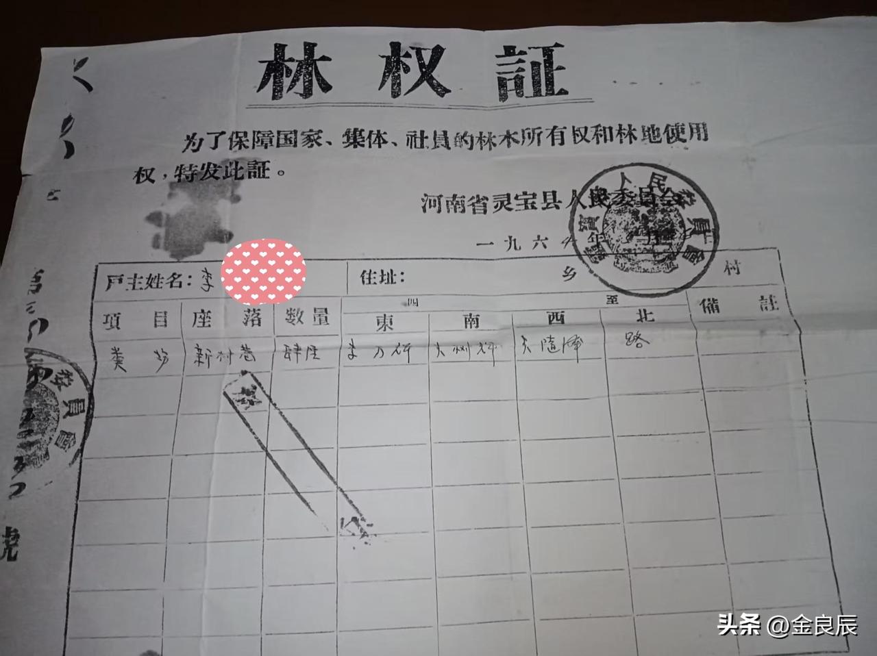稀罕，灵宝发现62年前的古董证书！

这份由河南省灵宝县人民委员会于1964年5
