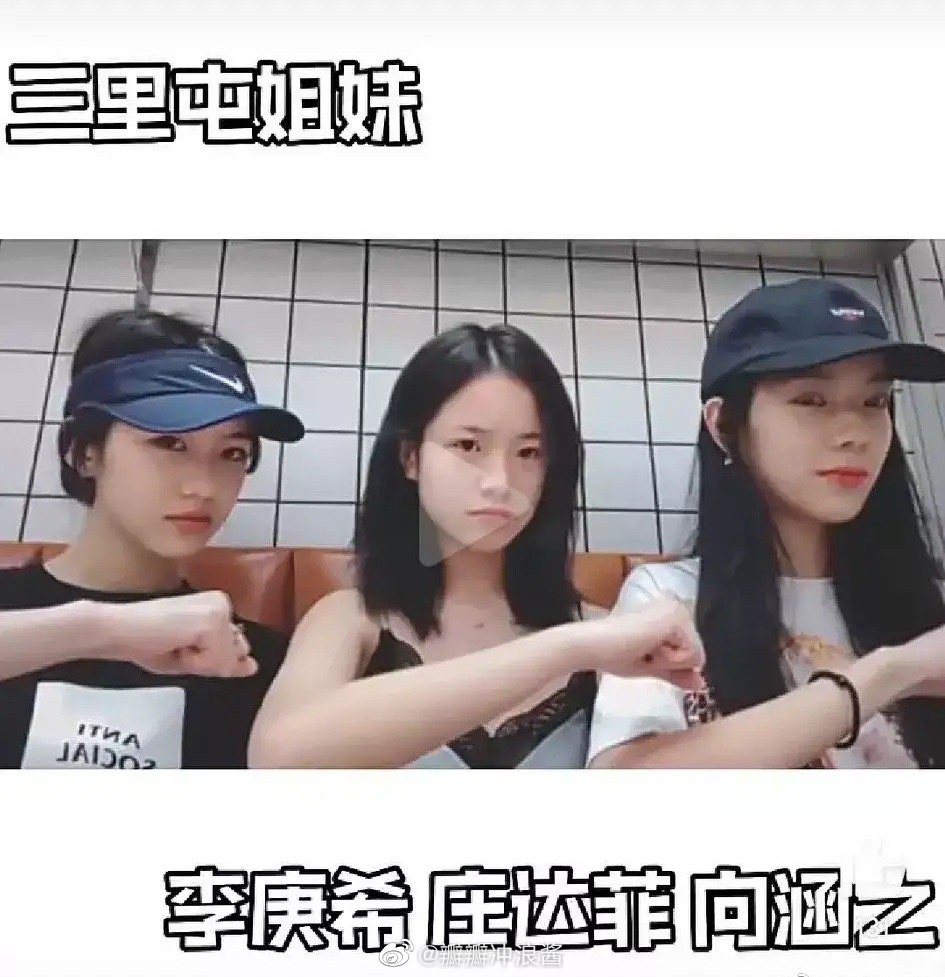 李庚希，向涵之，庄达菲，这仨三里屯三姐妹长相和气质都相似 ，就是那种一看家里就很