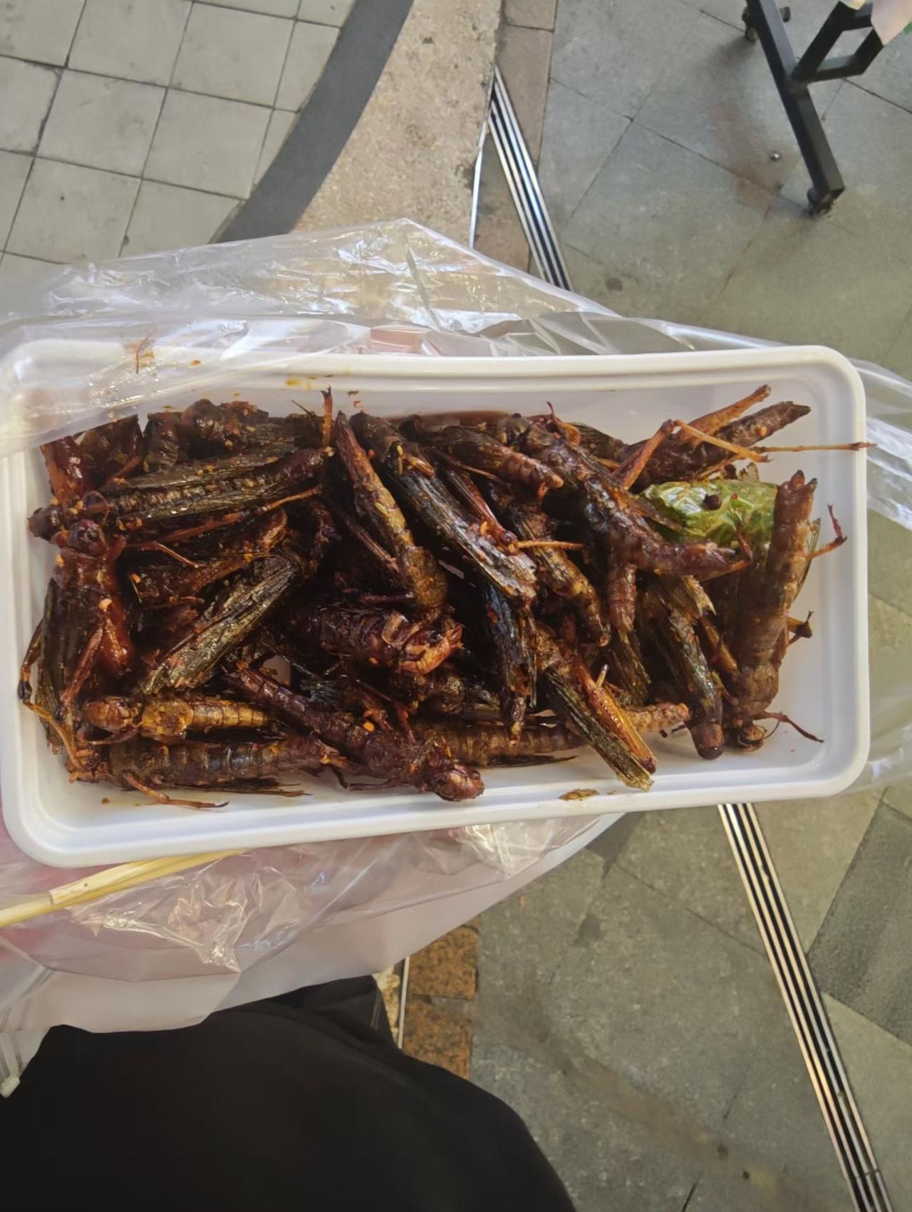 香辣炸昆虫，美味又刺激！🌶️🦗🍢