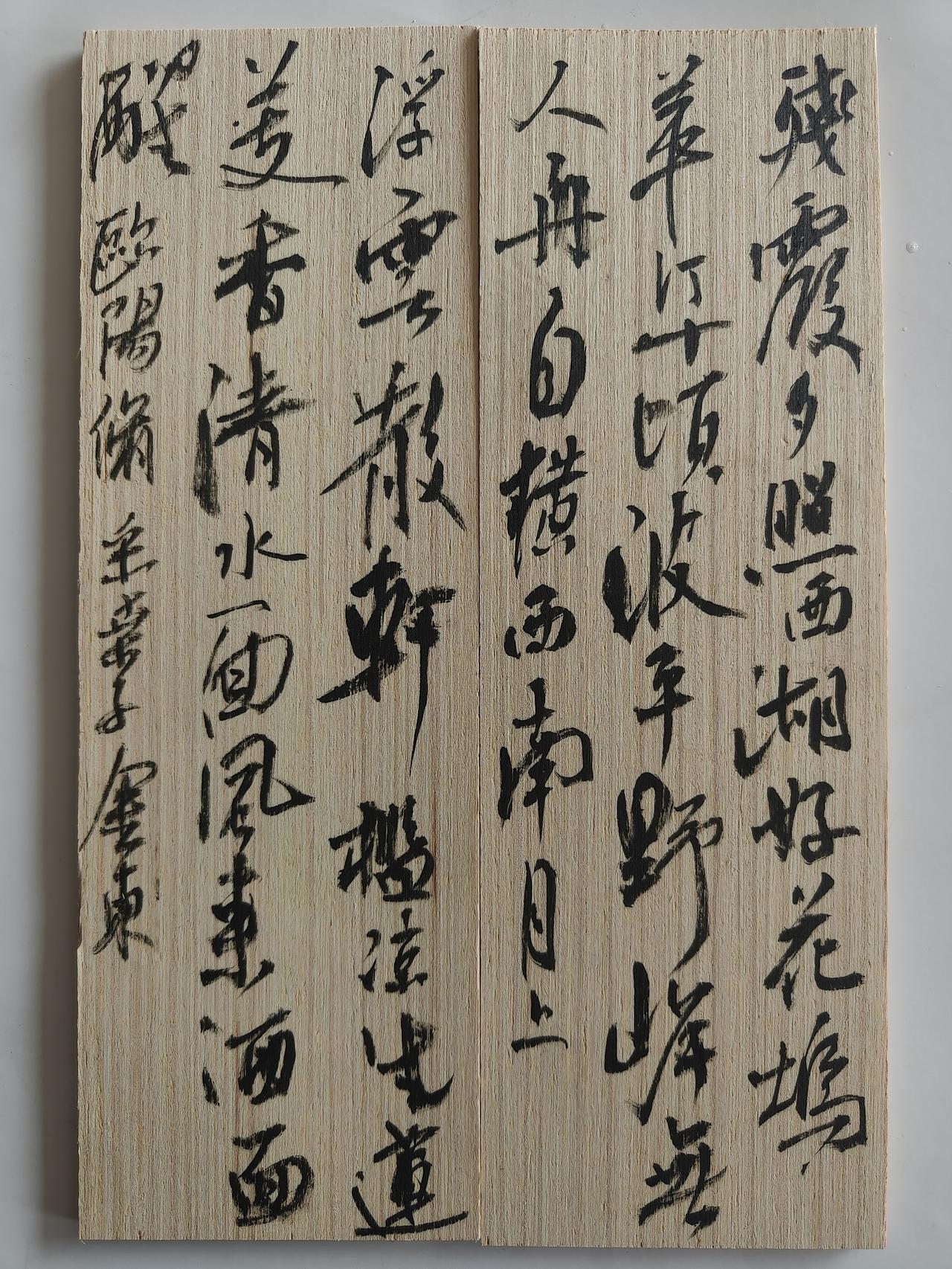万物皆可写，雨斋傅金东书法日课
在两块木板上写小行书，宋欧阳修采桑子一首，感觉还