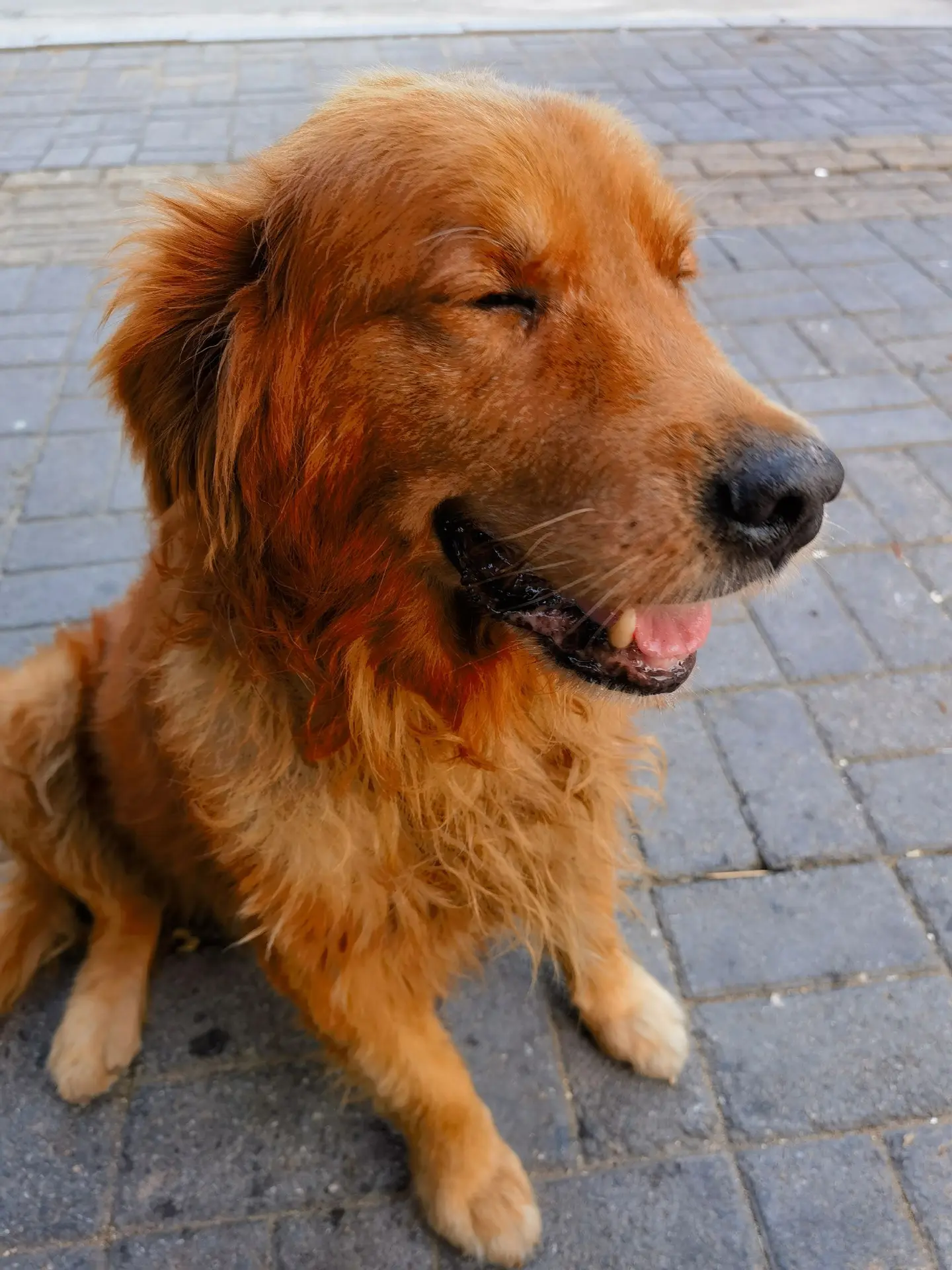 因为只要你不抛弃，它就不会离开你