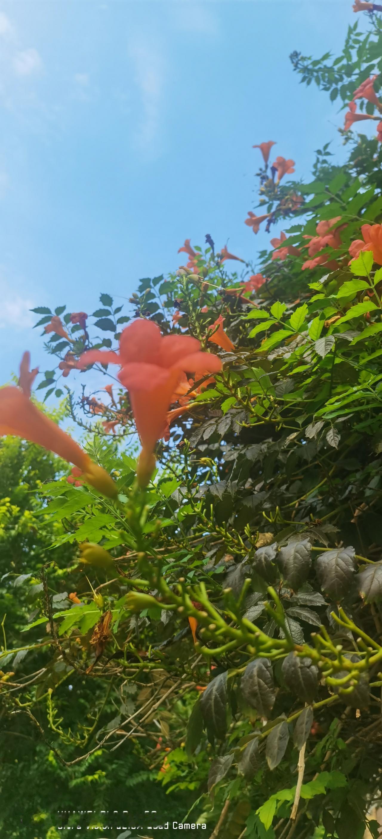 对于这个话题可能每个人都有不同的选择，因为个人爱好、生活习惯、专业特长不同，就会