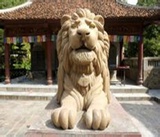 荔枝软热读综艺