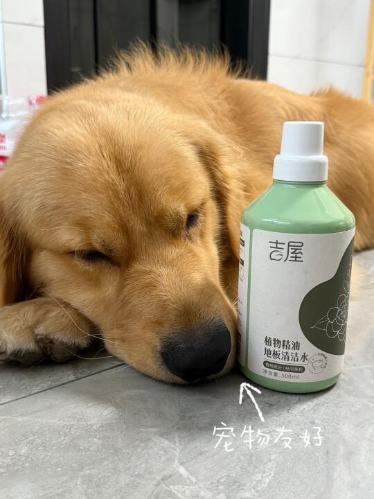 养宠人是怎么将地板保持干净的啊！！