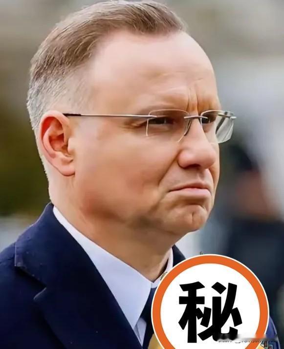 快讯！快讯！
波兰突然宣布了！

9月23日，波兰无人机事件始末：波兰22号晚间