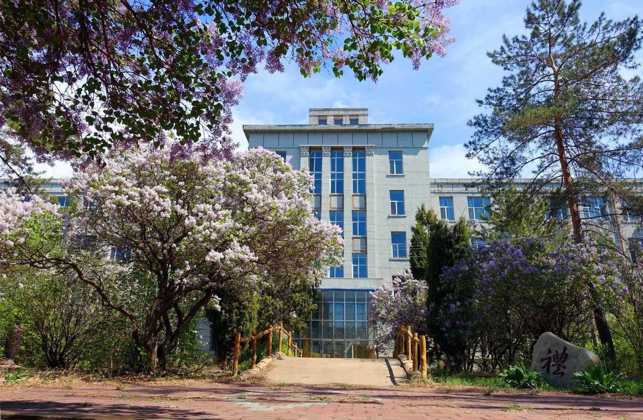 燕山大学旧址（东重）丁香花开
摄影：王晓东

人生易老岁重重，
丁香恒念总关情。