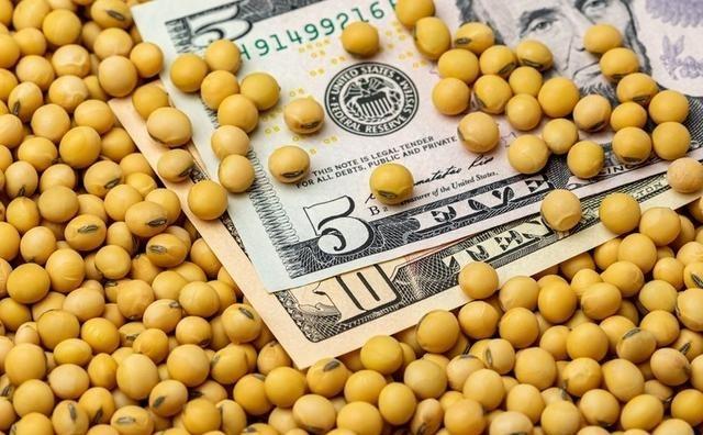 特朗普求锤得锤，130万吨大豆登上中国货轮，却没有一粒来自美国

哎，说起最近这