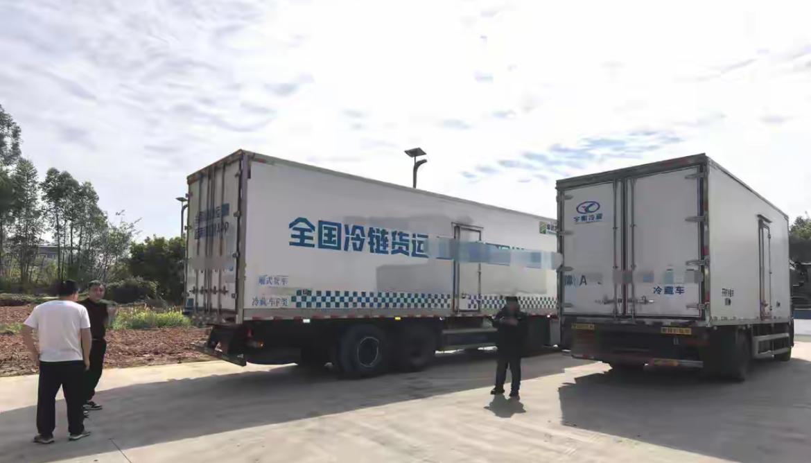 27吨冻牛头牛蹄跨省运输后部分发霉，冻库、冷链车送检样品均超标，多部门介入。
